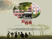 致青春