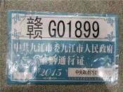 个人证件照