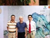 视频合集