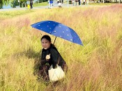 陪同朱教授一行等到军