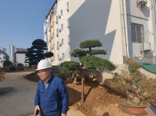 中瀚书院高档小区的雪