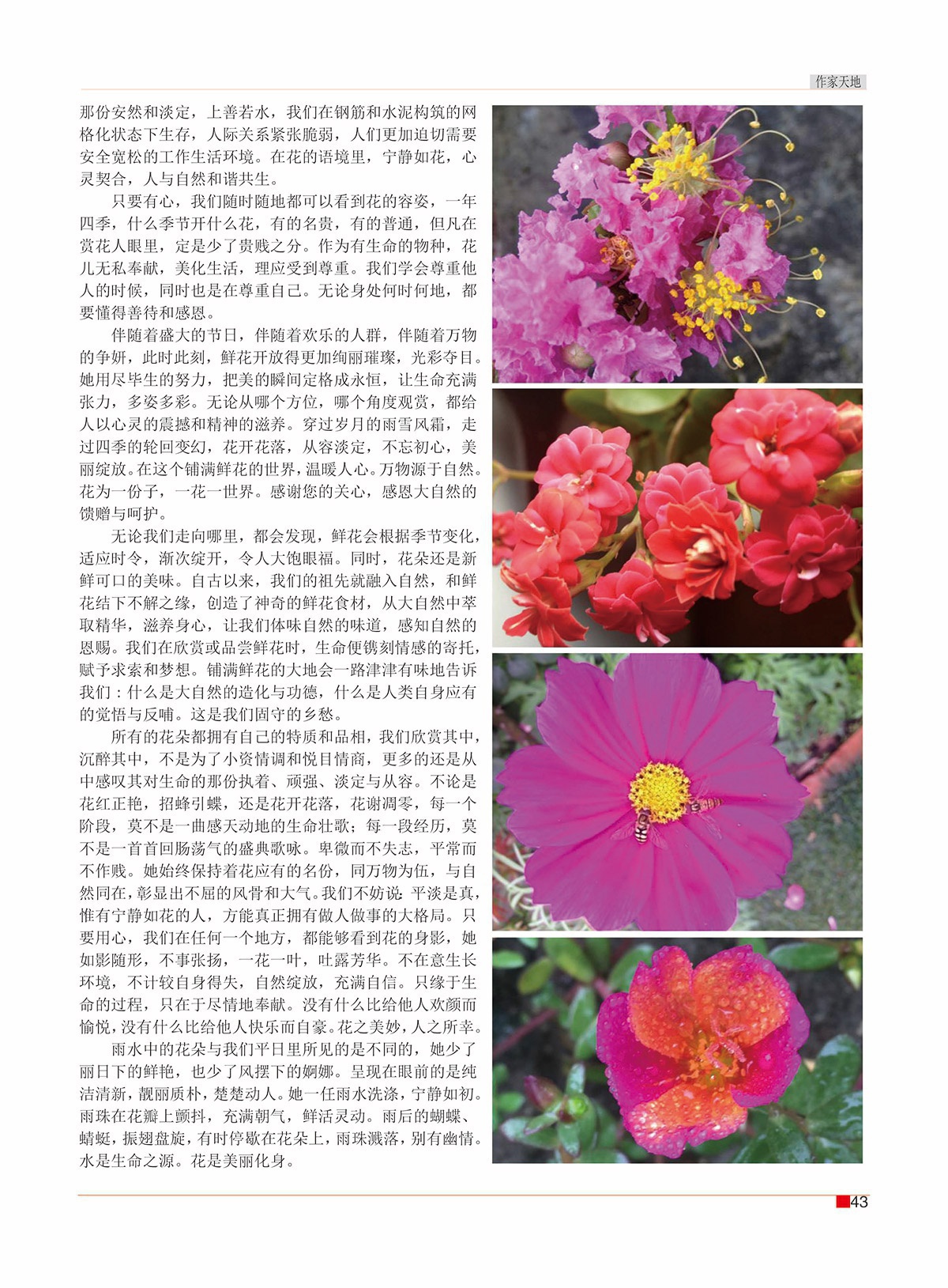 周斌封面的那期45.jpg