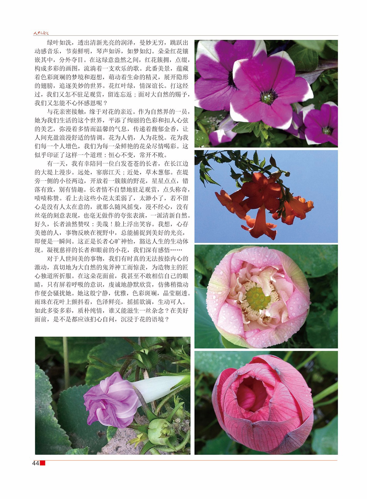 周斌封面的那期46.jpg