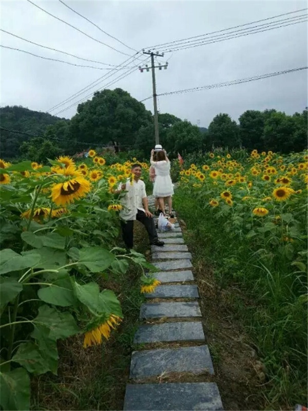 1530512703649633.jpg 微信图片_20180702140323.jpg