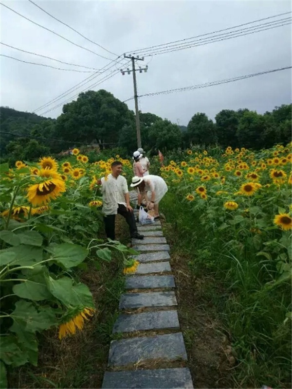 1530512798916899.jpg 微信图片_20180702140203.jpg