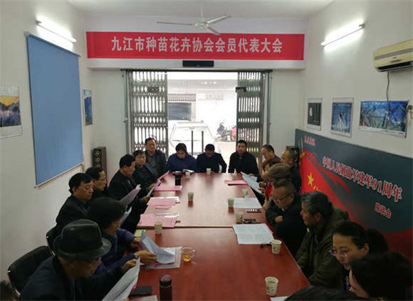 1544593320476196.jpg 1.jpg