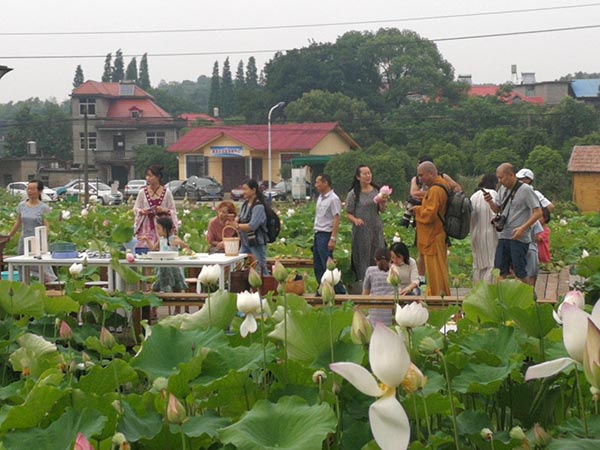 1562227495336484.jpg 1.jpg