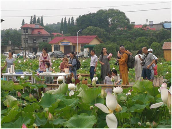 1562724764841903.jpg 201907091209268031.jpg