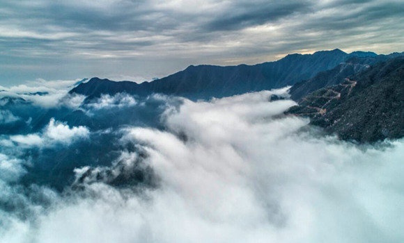 1571627887208580.jpg 201910181720153069.jpg