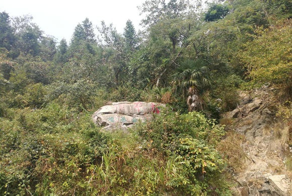 1571627904901079.jpg 201910181721074915.jpg