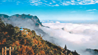 1587459605537081.png image.png