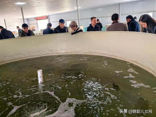 1734919440235043.jpg 5e8f61f580144fafb46a22b4250e7a1f~tplv-tt-origin-web_gif.jpeg__iz=58558&from=article.jpg