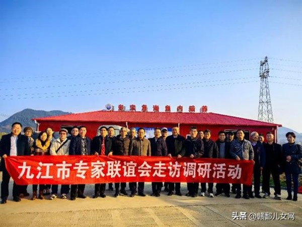 1734919445204074.jpg 4498ed29247140f9bec9c1cb405c8c23~tplv-tt-origin-web_gif.jpeg__iz=58558&from=article.jpg