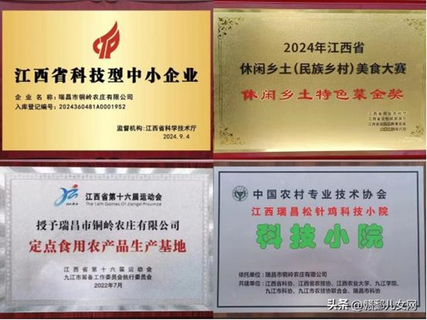 1735013198461017.jpg 3837440ce9ac45c4bd8aacced9e3f67b~tplv-tt-origin-web_gif.jpeg__iz=58558&from=article.jpg