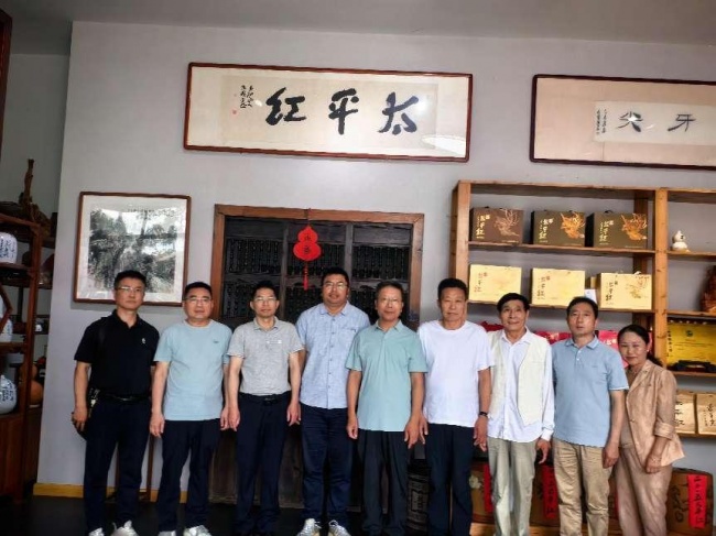 专家把脉太平红茶：挖掘太平山生态特色，助力宁红茶创新发展